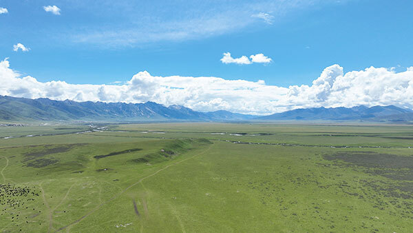 四川理塘草原湿地美