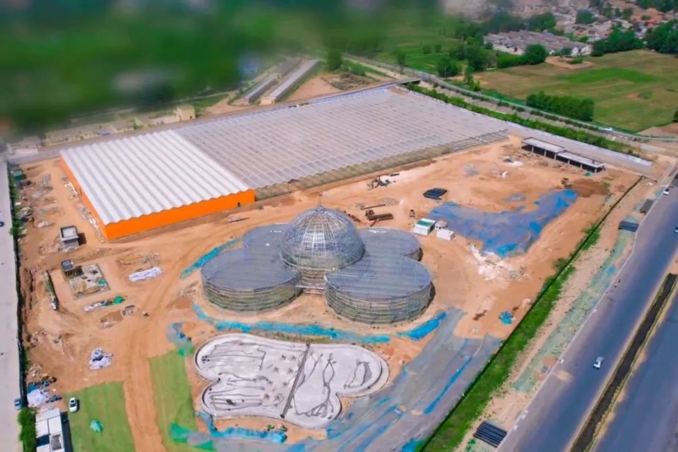 城以花响越千年——临夏牡丹里的文化传承与图强图新