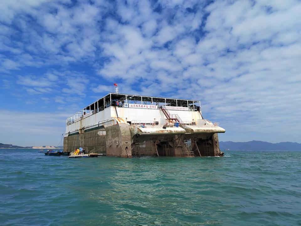 乡村周记|"薄壳米之乡"汕头澄海盐鸿镇薄壳飘香;江门鹤山凤梨成熟引来