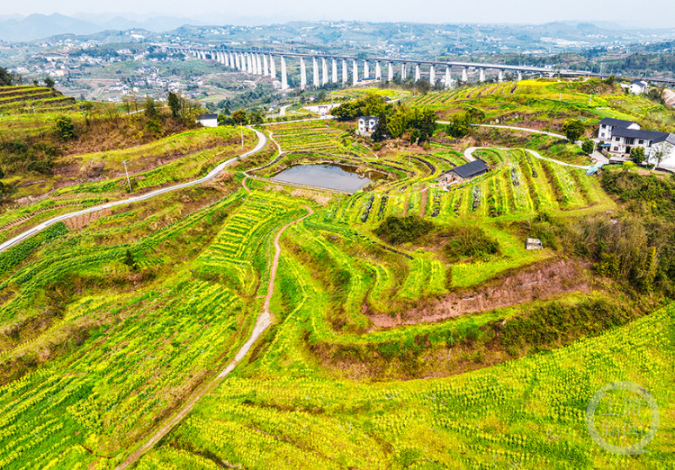 《春意盎然的美丽乡村》组照七 彭伟 摄于渝北区石船镇民利村征稿邮箱