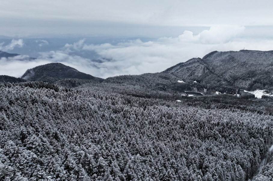 武陵山森林公园天气预报