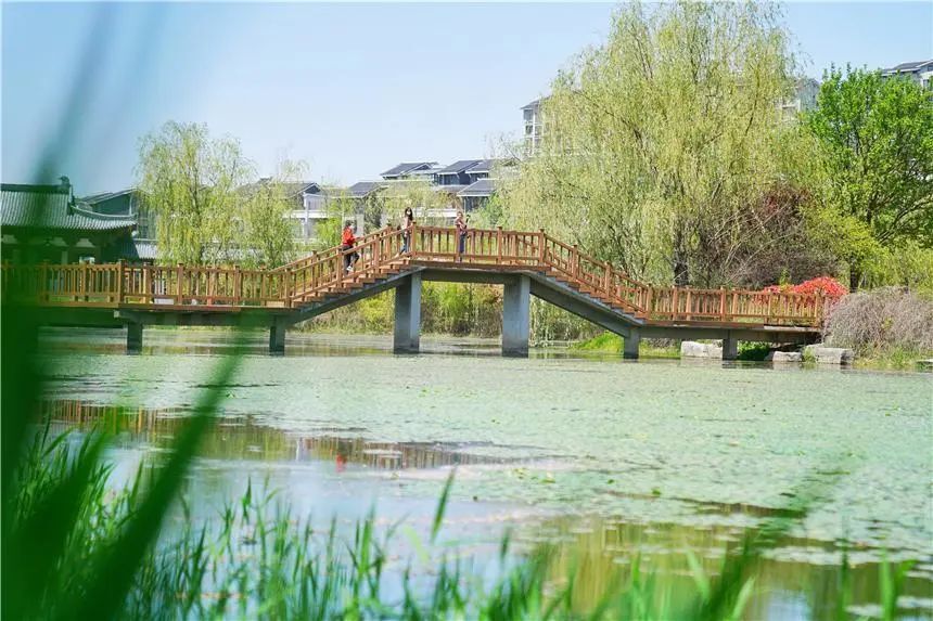 春游江淮丨安徽宿州有个江南园林,环境清幽不收门票,一年四季都有好
