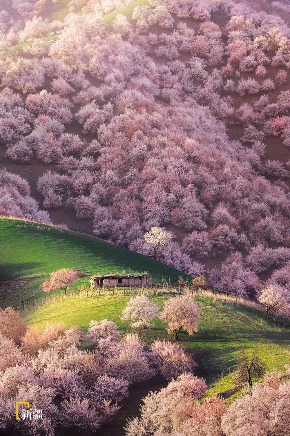 快将你那张最满意的春景图分享给我们吧!