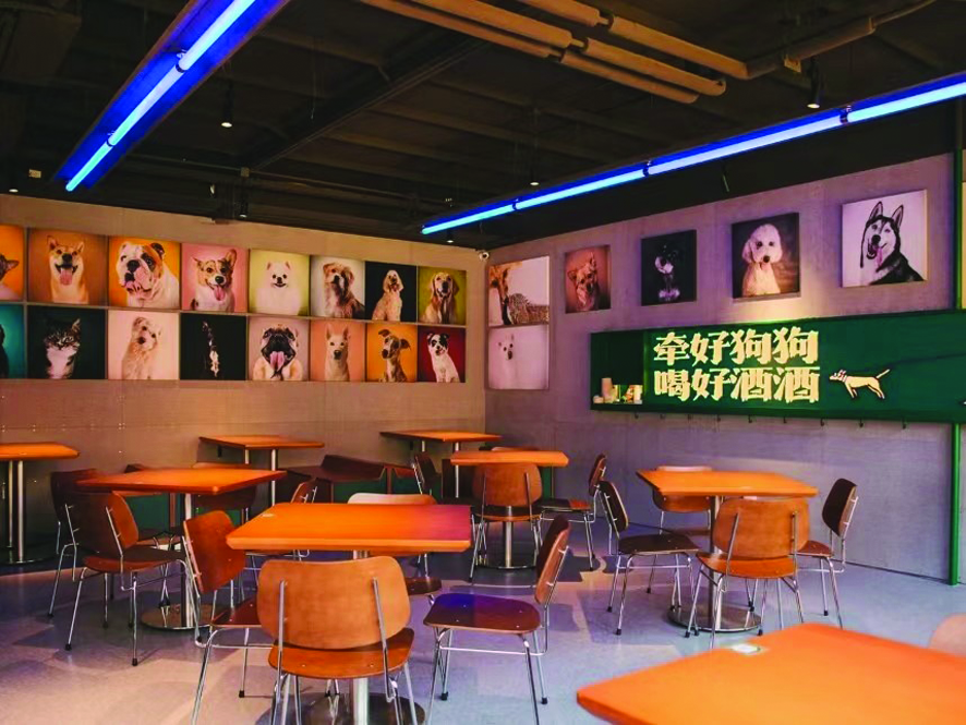 "餐饮品牌 宠物经济"有望成为新风口