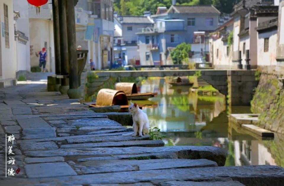 皖美夏日丨跟着文物游宣城——寻梦宣城古村落