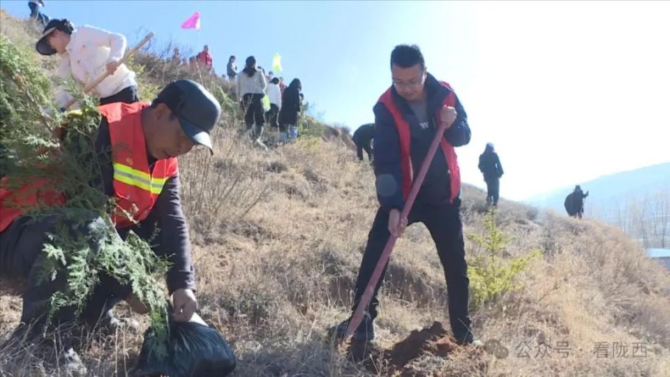 陇西首阳镇今年计划植树20余万株_腾讯新闻