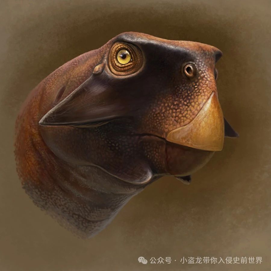 【古生物新知】鹦鹉嘴龙生长曲线