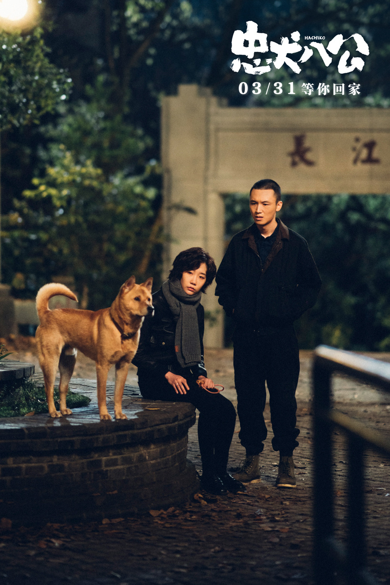 电影《忠犬八公》全新预告开启预售 “不舍离别”直指国人陪伴痛点_腾讯新闻