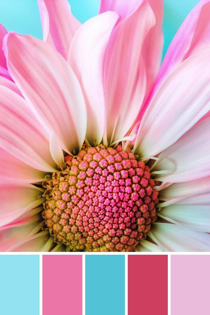 一组色彩搭配方案