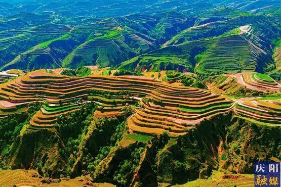 一点庆阳 陇上名家散文 | 故土永芬芳(文/谢文魁 诵/米玲)