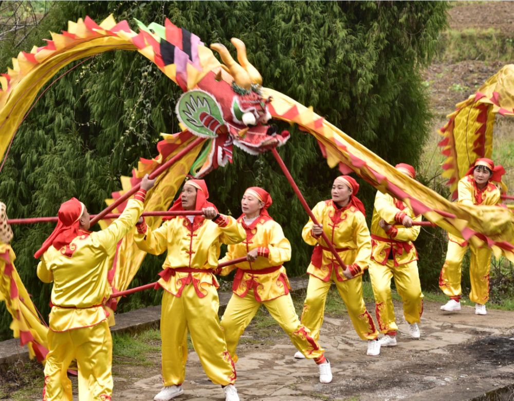 嘉禾龙舞_腾讯新闻