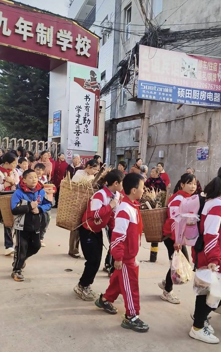 3月3日上午9时许,网友@四川安岳妹子配文"小学春游,户外野炊",在抖音