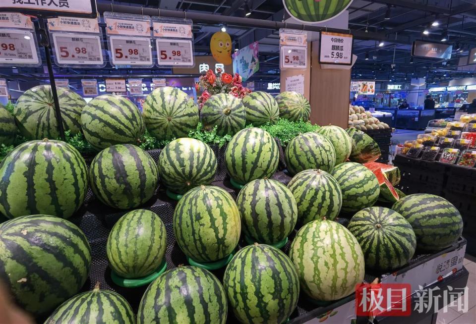 春天的第一口西瓜,近百元一个,你愿意尝鲜吗