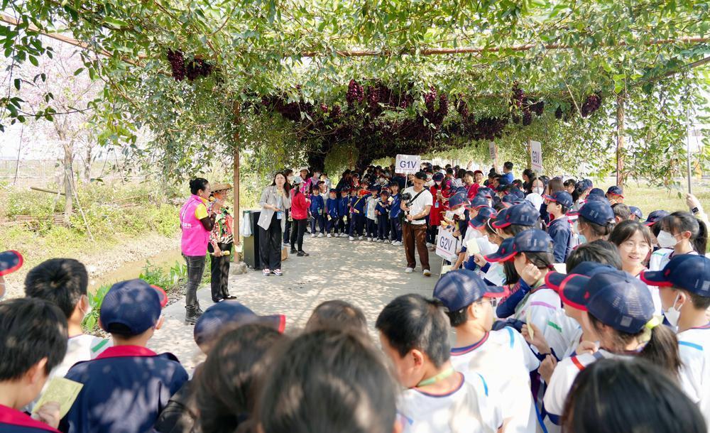 广州南沙申请非遗（广州地区非遗项目） 第4张