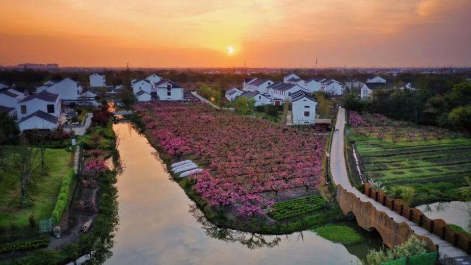 桃花盛开的季节,到奉贤吴房村赴一场春日读书会_腾讯新闻