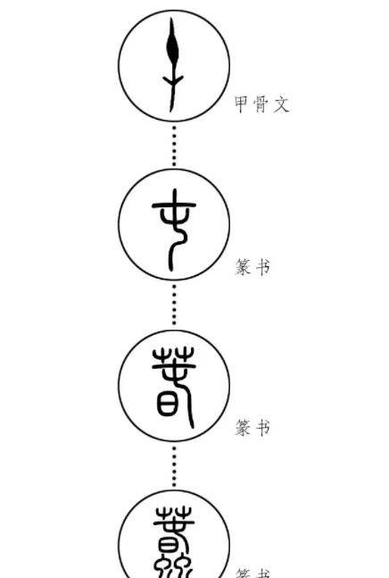 研究甲骨文需要數十年如一日耐下心來的枯燥治學