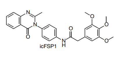 icfsp1的結構icfsp1觸發fsp1相分離研究團隊進一步研究了icfsp1對fsp1