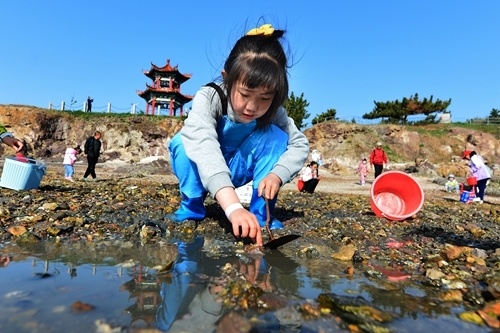 红岛蛤蜊节乐享多彩假期