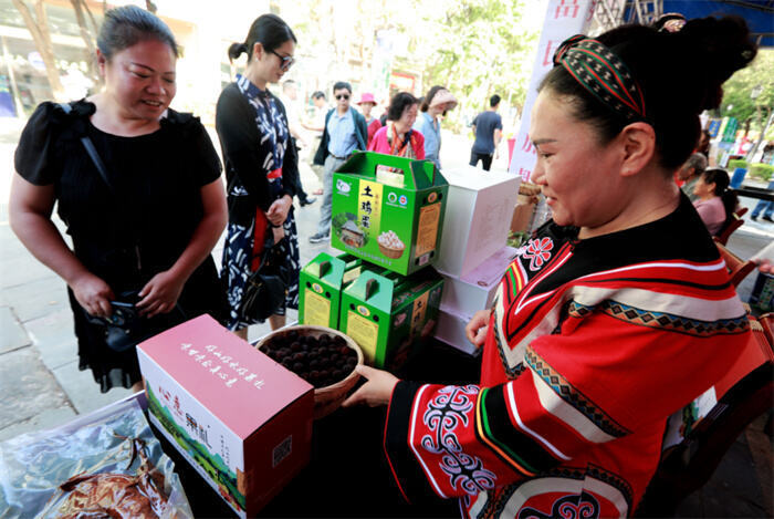 富民县2023年中国富民杨梅旅游文化节启幕_腾讯新闻