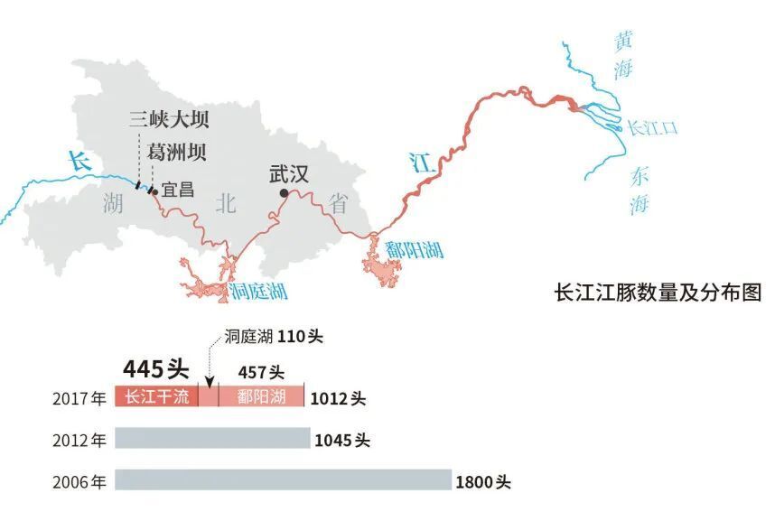 是长江干流经裁弯取直后留下的故道湿地