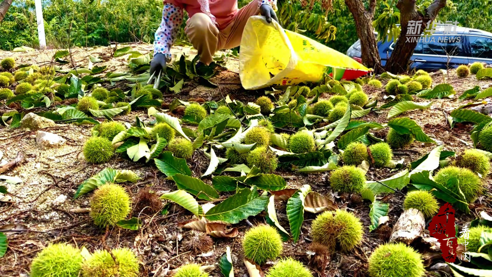 制片人:马宝军策划:杜屹然统筹:张青编导:邱俊松新媒体编辑:陶玲君