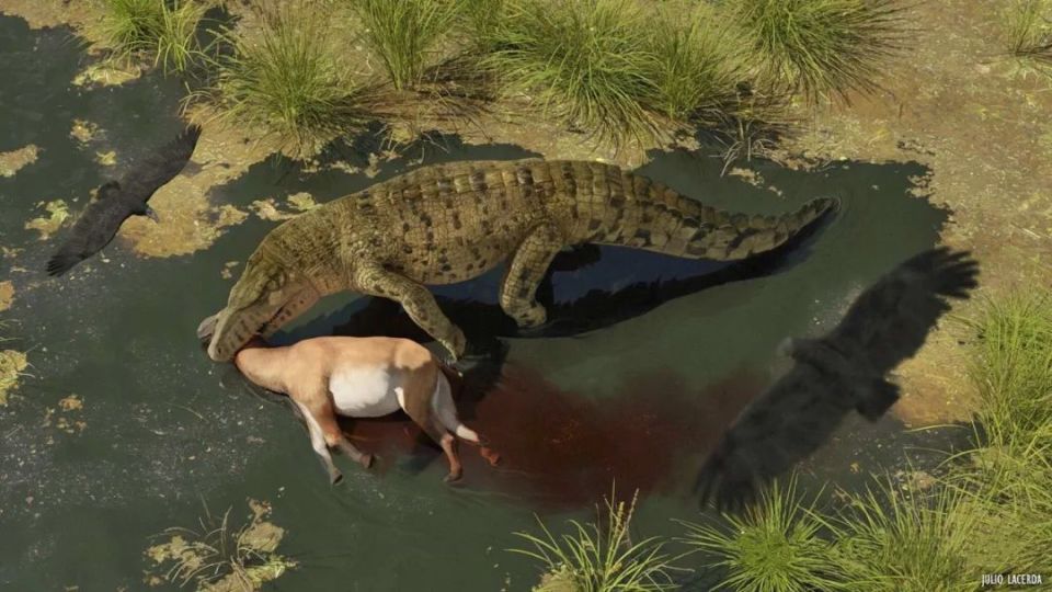【史前巨鳄】南美巨鳄曾是陆地霸王!