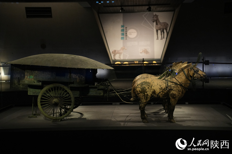 历时三年保养秦始皇帝陵一号铜车马再次对外展出