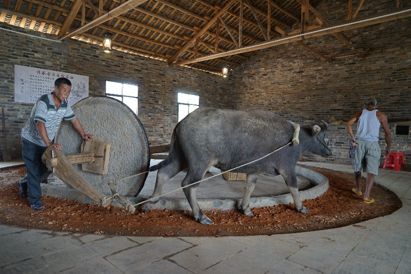 茶籽油的技术方法,从传统农业生产中分离出来的重要手工业加工技术,其