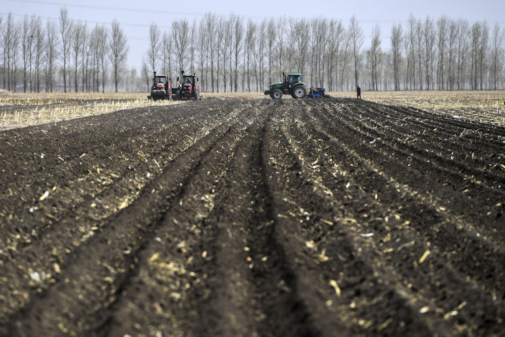 播种在希望的田野上——东北黑土地耕作新观察_腾讯新闻