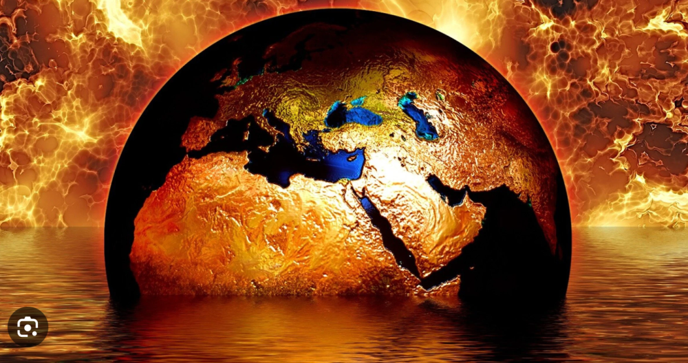 超级计算机预测到2100年四分之一的生物将灭绝