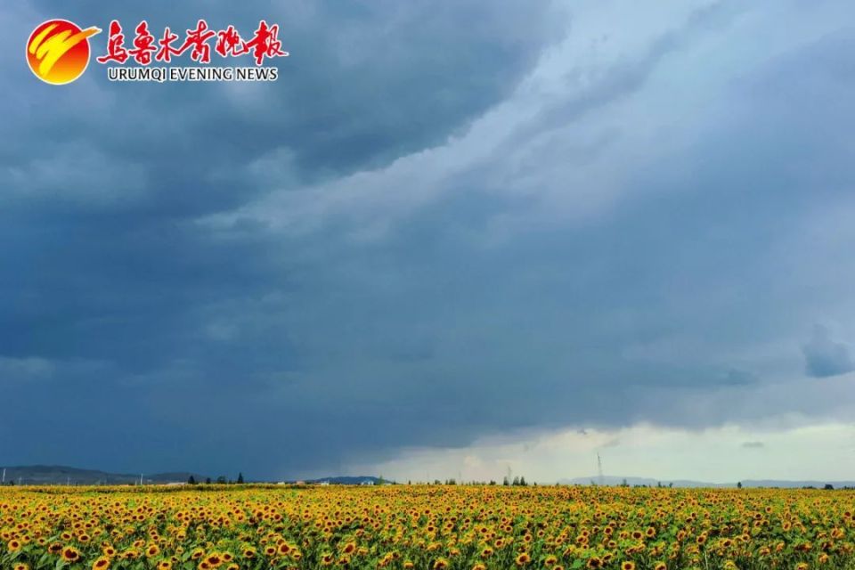 新疆博尔塔拉天气预报