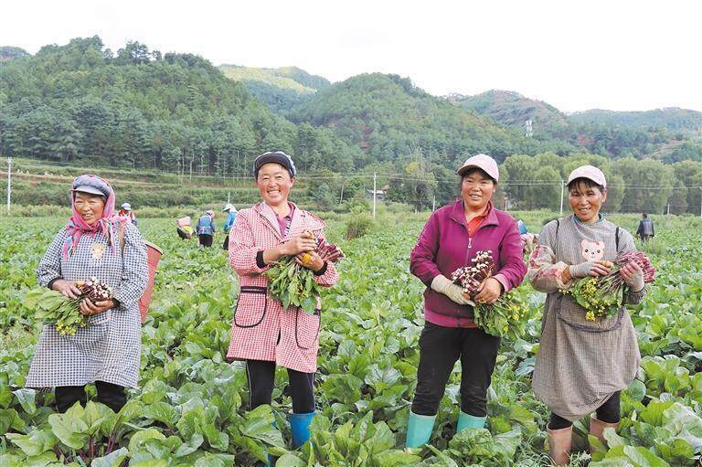 云南会泽大桥乡图片