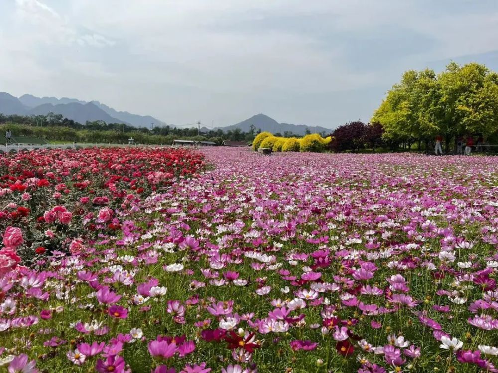 七孔桥花海公园图片