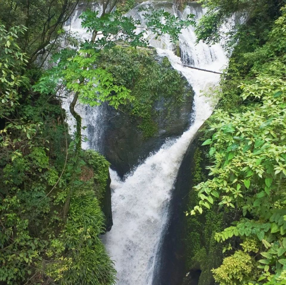 端午小长假必耍!3条"宝藏"线路限时上新,度假感拉满