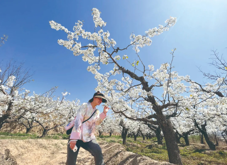 山西省美丽经济 "花样"生活——晋中市各地因地制宜
