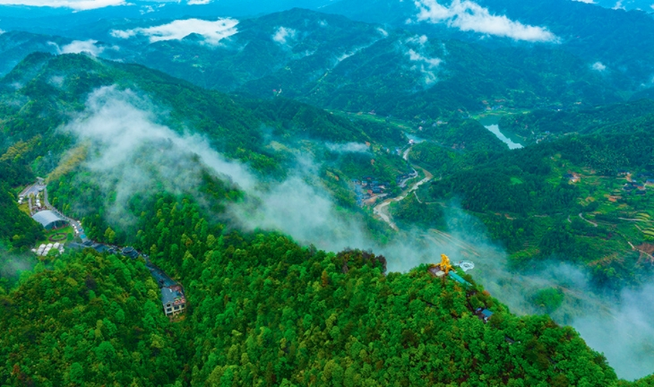 把增绿护林的生态势能,转化为致富增收的发展动能_腾讯新闻