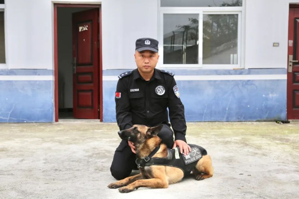 陕西警犬"巴克"荣获"公安部功勋犬"荣誉称号