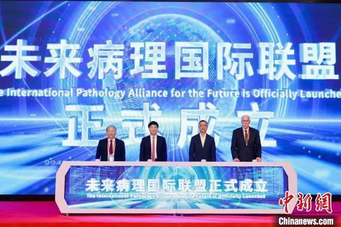 为什么宁静贴片这么贵聚焦浙里：中新社浙江新闻周报_https://www.jmylbn.com_新闻资讯_第47张