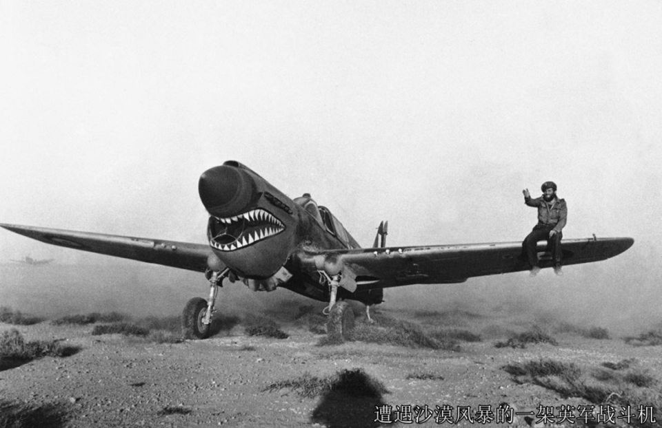 【人物篇】隆美尔19:仅仅来了一个蒙哥马利就变天了?_腾讯新闻