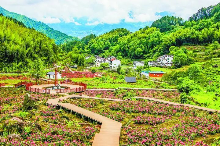 景宁:栉风沐雨四十载 砥砺前行再出发_腾讯新闻