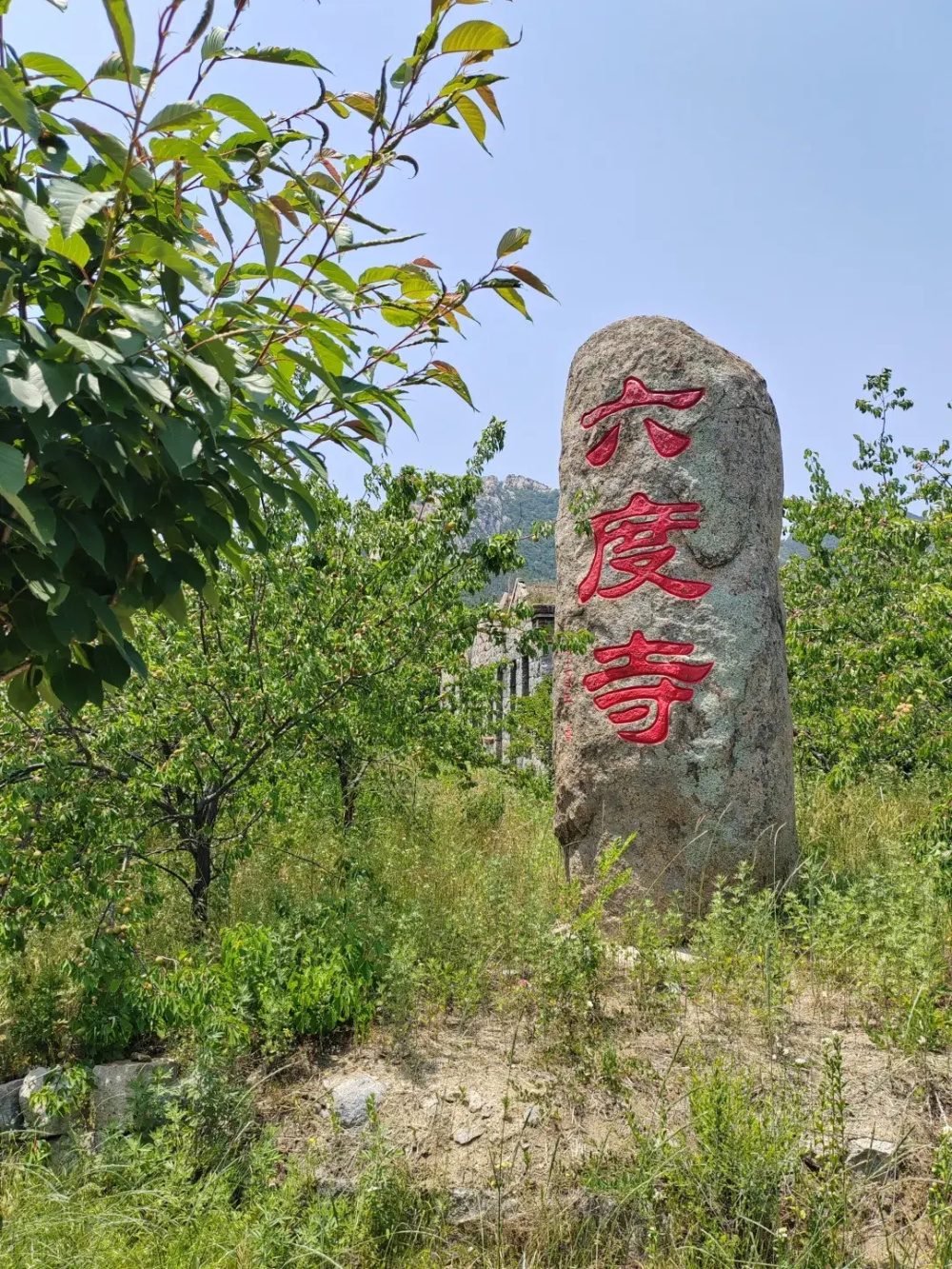 一条曲折蜿蜒的小溪贯穿六度寺村南北,流水在乱石之间激荡,堤坝处有