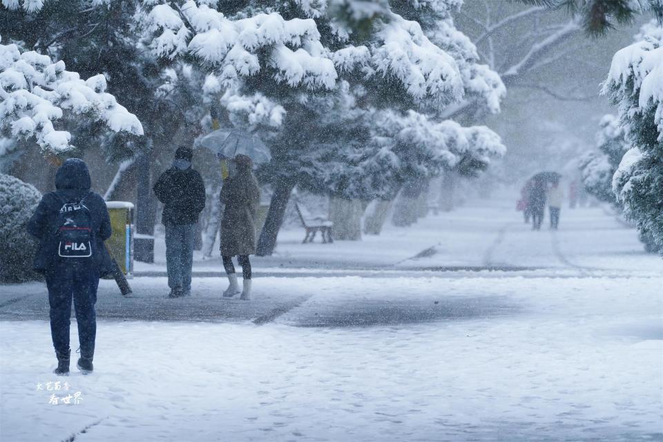 沈阳下大雪了雪中的北陵公园会变成什么样22张照片揭晓答案