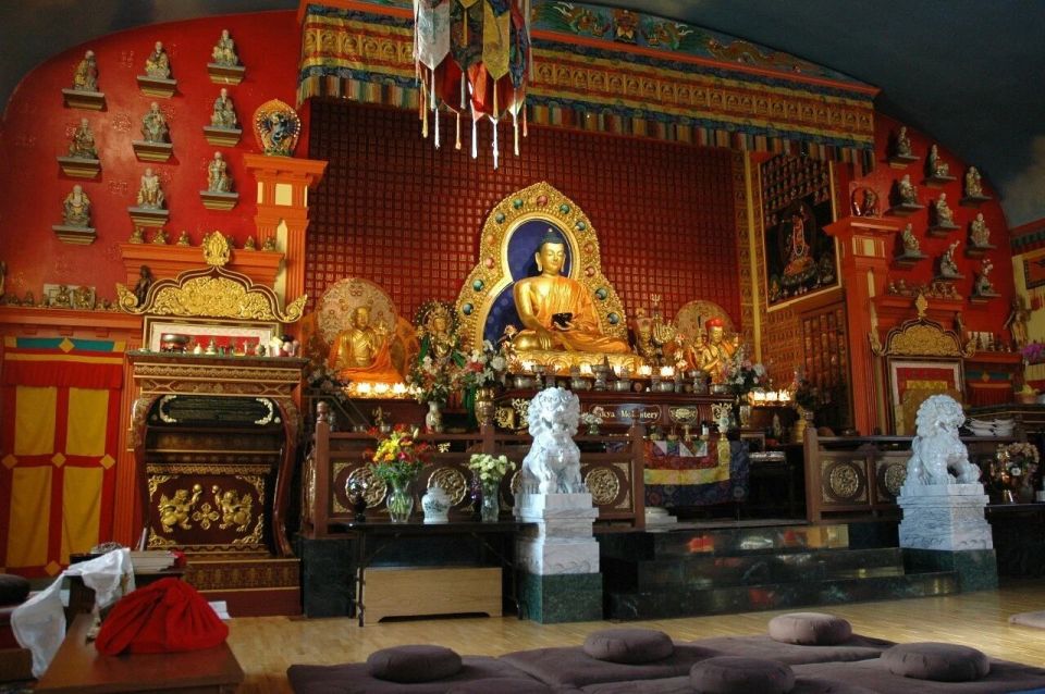 专访成庆：当代年轻人的山居热，是大型的“心理自救”_腾讯新闻