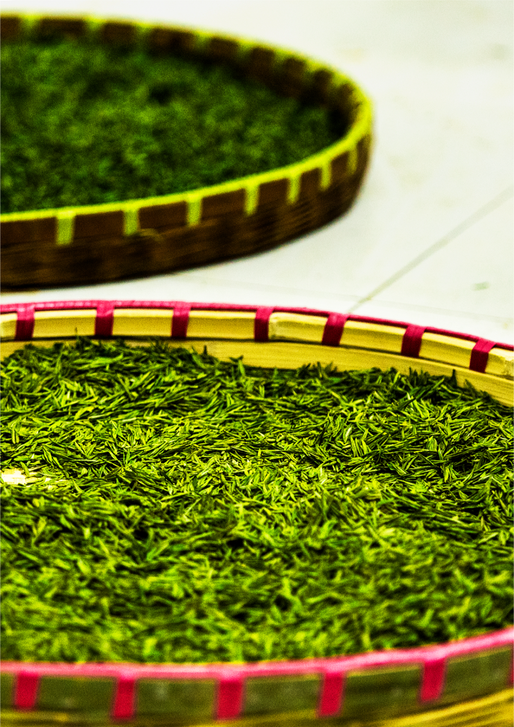 据了解,天目湖白茶种植区域集中在溧城镇,天目湖镇,戴埠镇,上黄镇