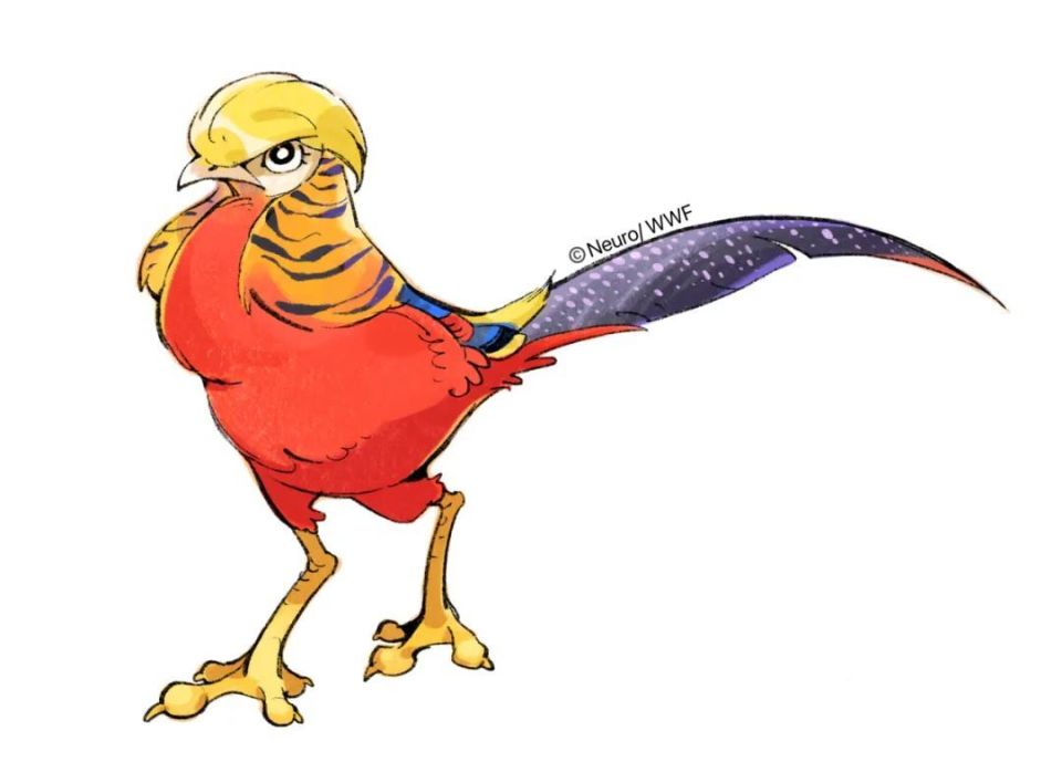 朱兆泉老师于1983年毕业于东北林学院(现东北林业大学)野生动物学专业