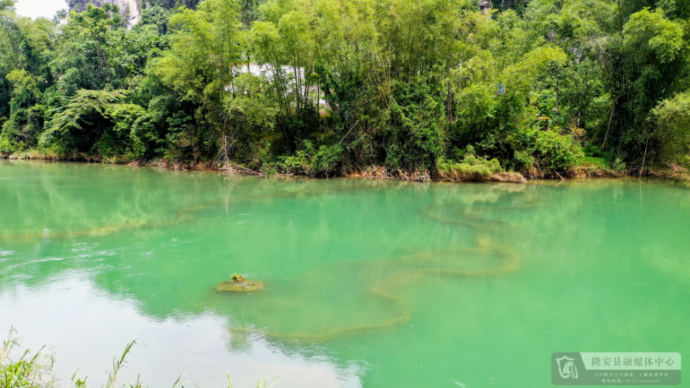 【行摄隆安】布泉河|初秋掠影_腾讯新闻