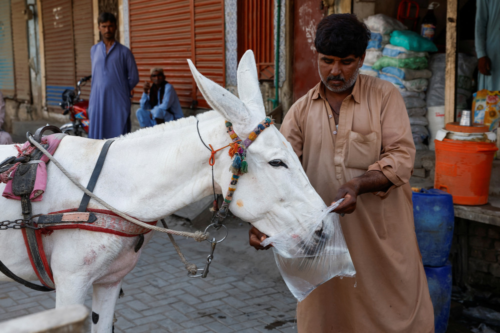 巴基斯坦遭遇热浪侵袭