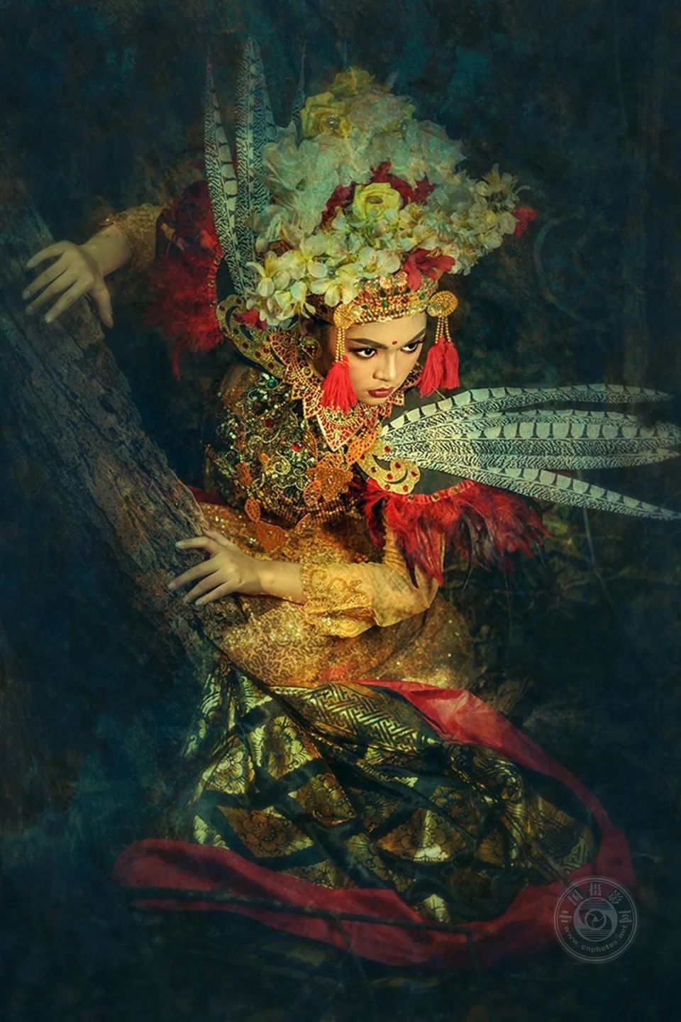 揭晓 | 2024年第十三届台中国际摄影艺术展(人文组)获奖作品