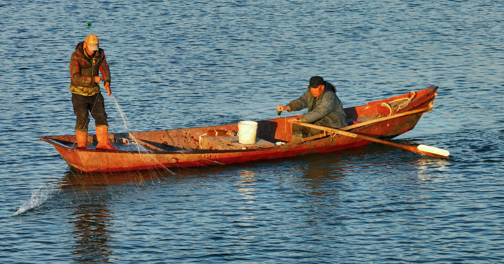 开江鱼新鲜上市