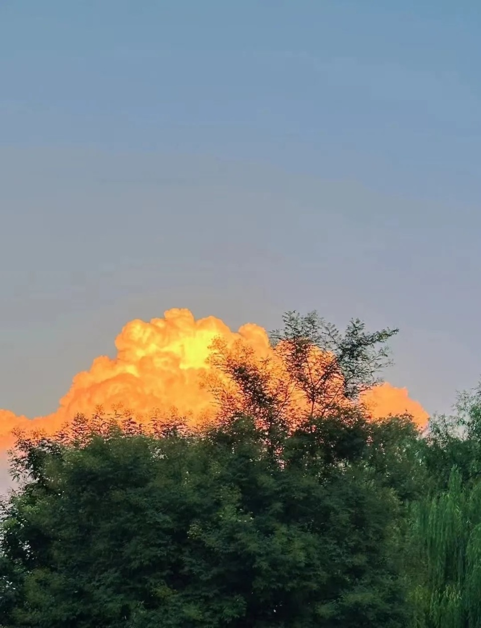 火烧云刷爆平凉人朋友圈!